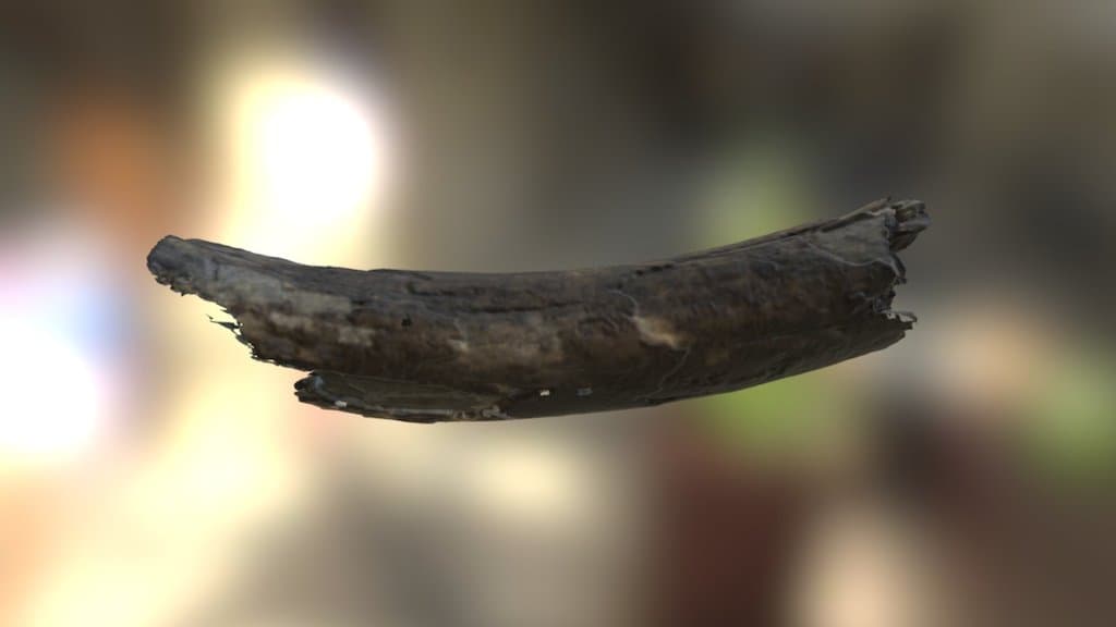 Mammoth Tusk