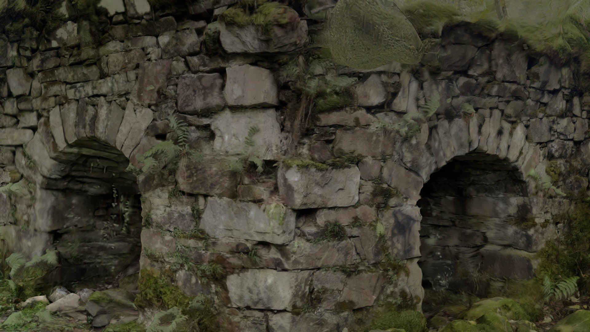 Kilmory Forest