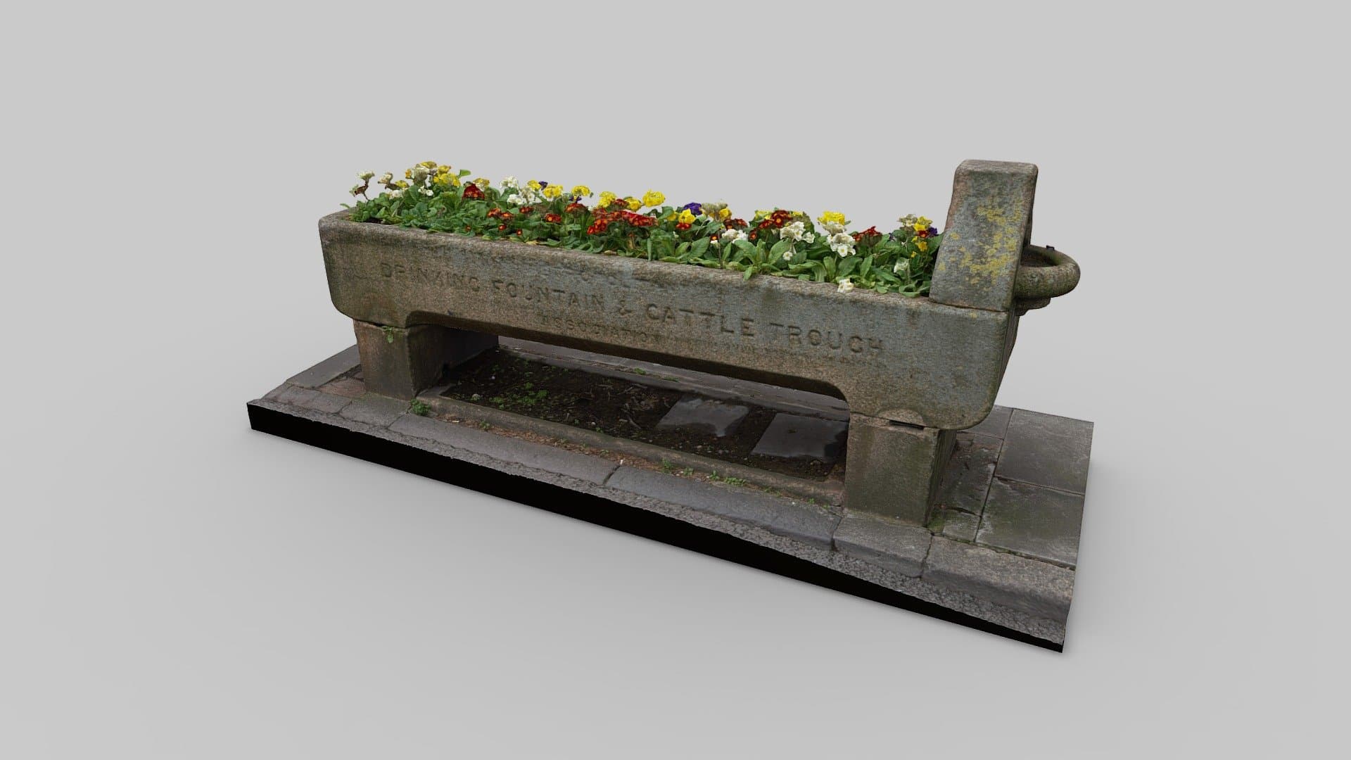 Cattle Trough Grays Inn Road