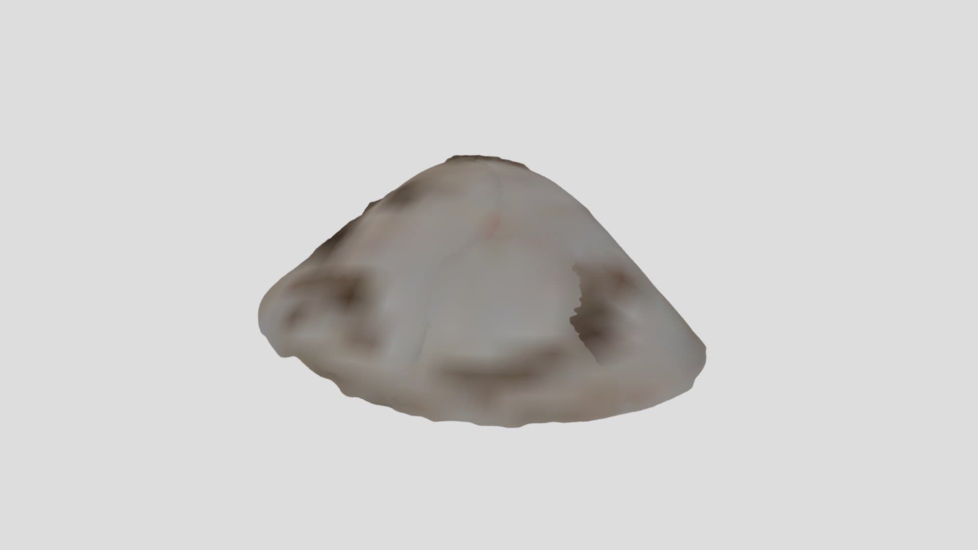 貝刃　shell scraper