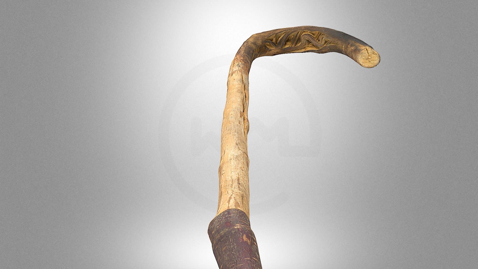 Walking stick