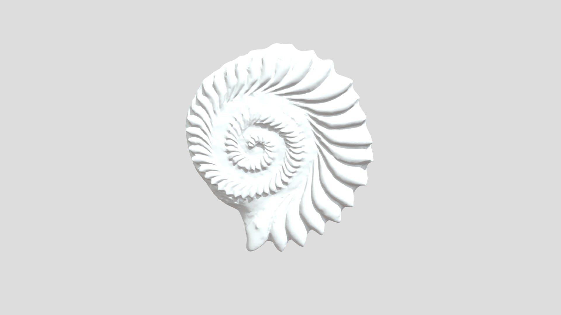 Helicoprion Tooth Whorl Sculpted Model