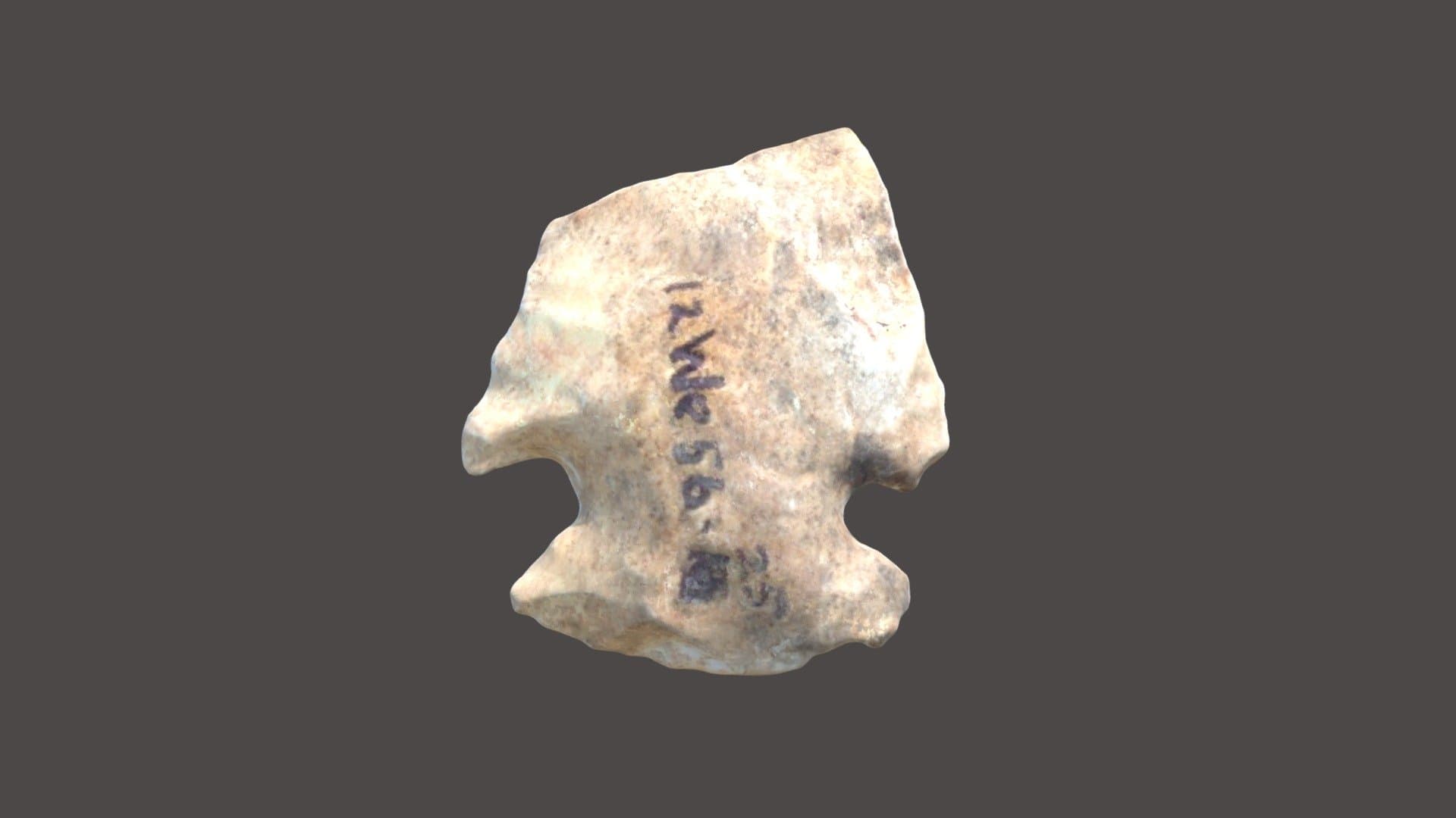ROI010-228-02