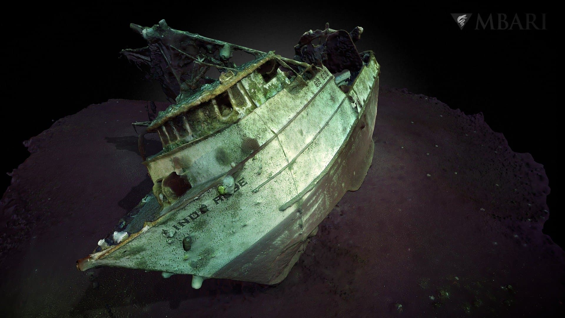 Wreckage of the Linda Rose