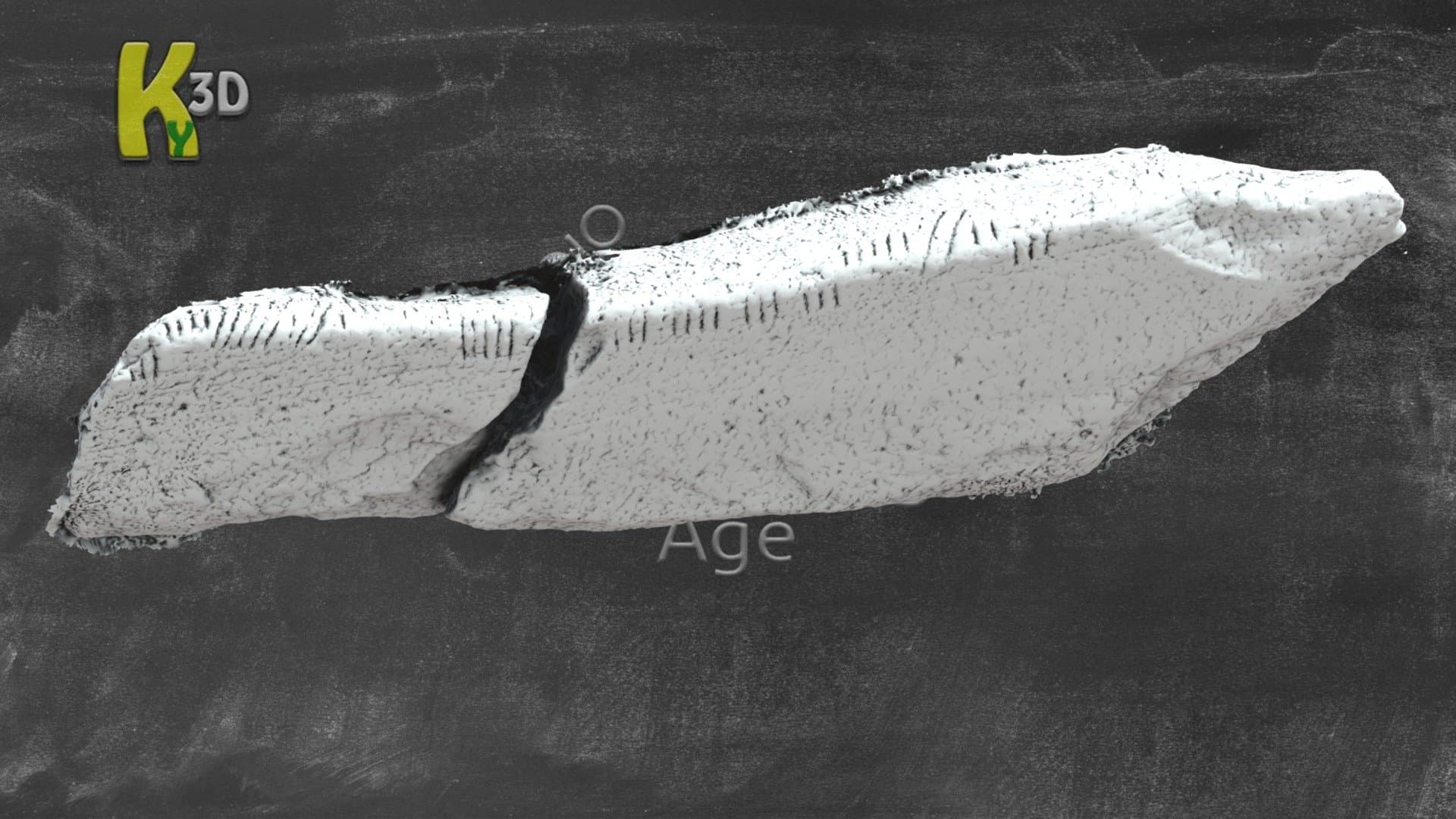 KE042-093003 CAHERNAGAT - Ogham Stone