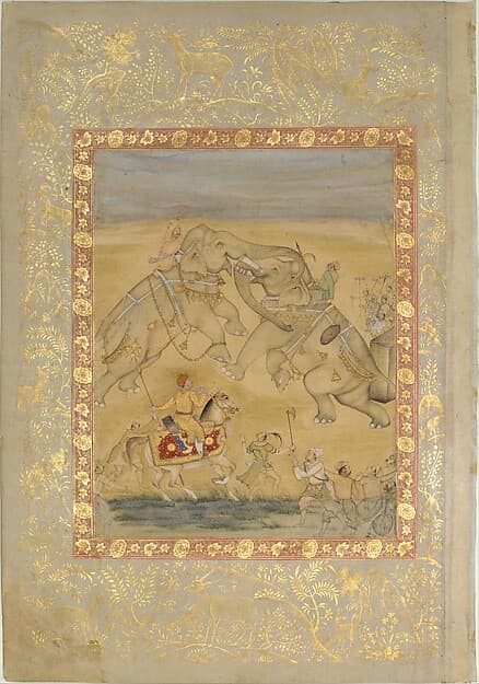 Portrait of Farrukh Chela